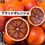 734EC6A0-5845-4F4B-B158-2638596BB470_1_105_c